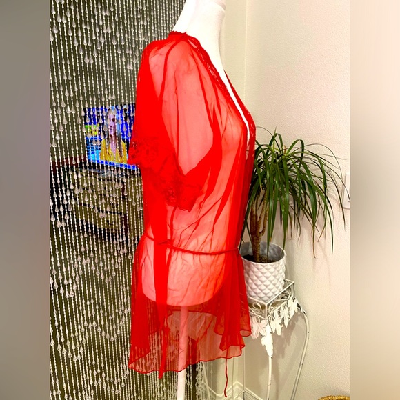 VINTAGE SHEER PEIGNOIR - Picture 2 of 6